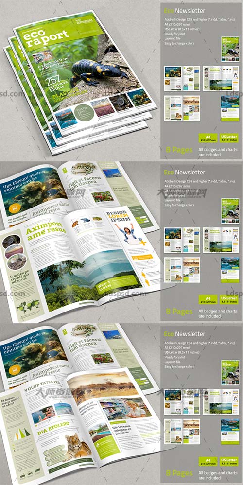 Eco Newsletter,indesign模板－时事周刊(通用型/8页)